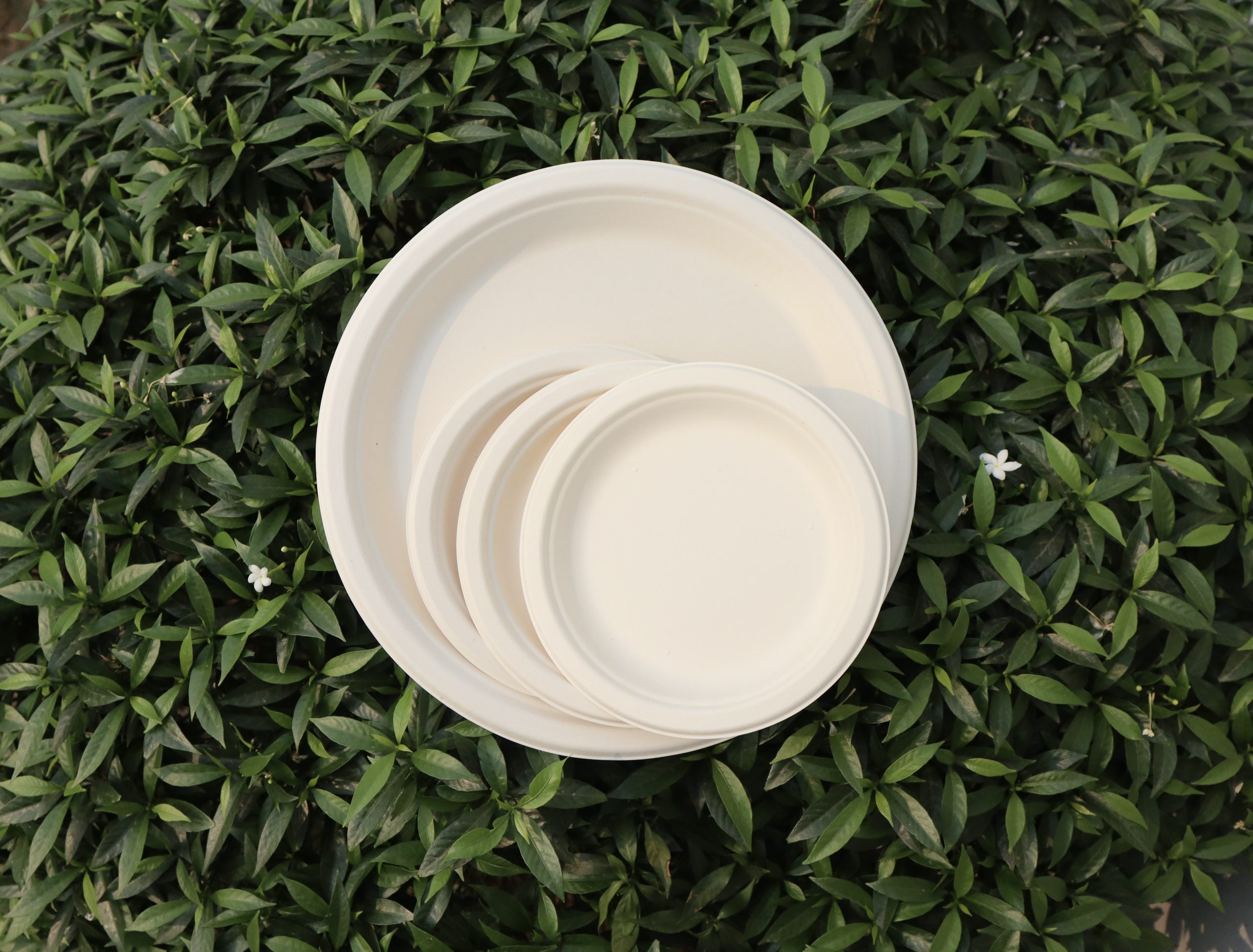 Plates