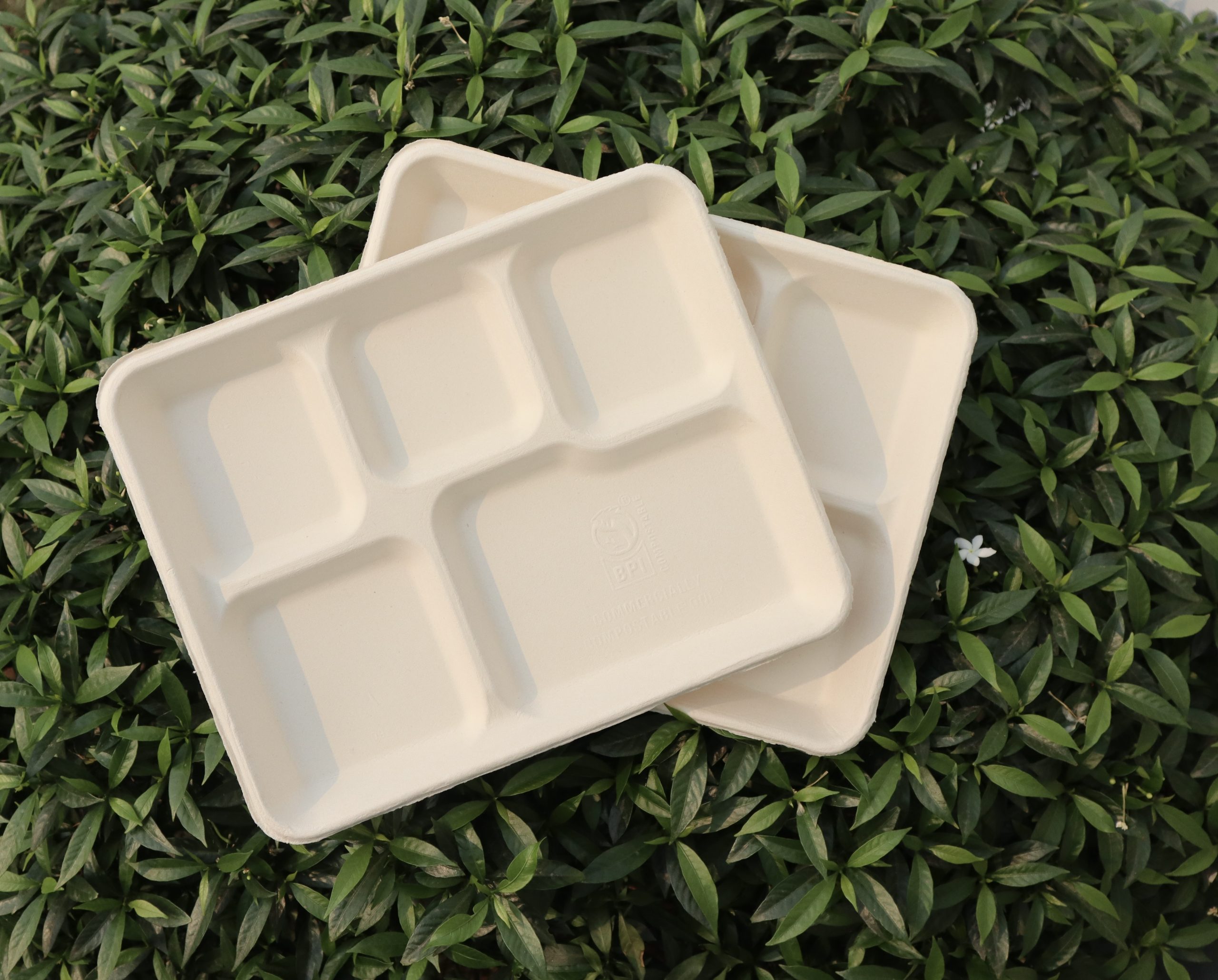 Trays